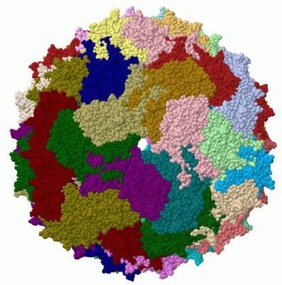 Image Biol.Unit 1 - manually