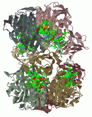 Image Biol.Unit 1 - manually