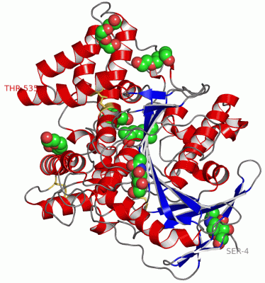 Image Asym./Biol. Unit - manually