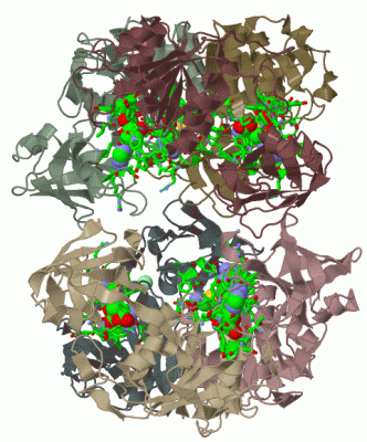 Image Biol.Unit 1 - manually