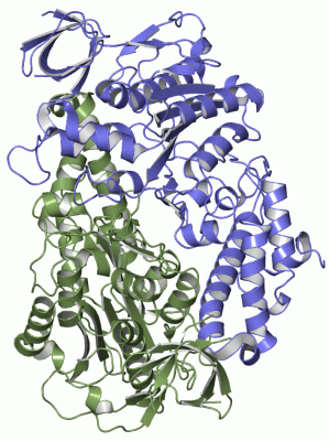 Image Asym./Biol. Unit - manually