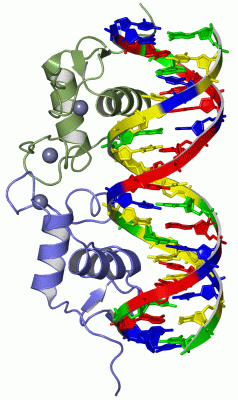 Image Asym./Biol. Unit - manually