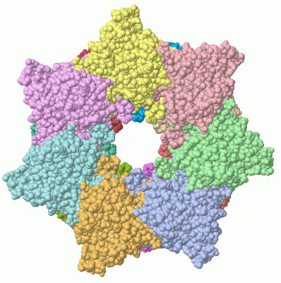 Image Asym./Biol. Unit - manually