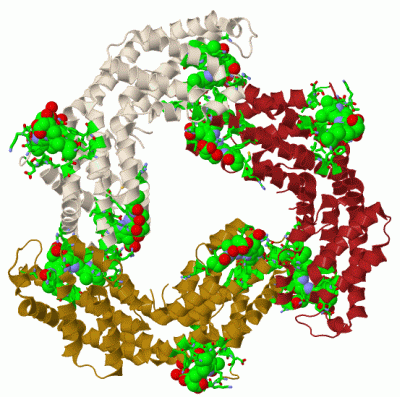 Image Biol.Unit 1 - manually