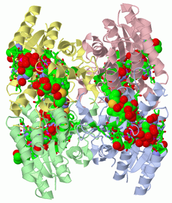 Image Asym./Biol. Unit - manually