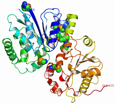 Image Asym./Biol. Unit - manually