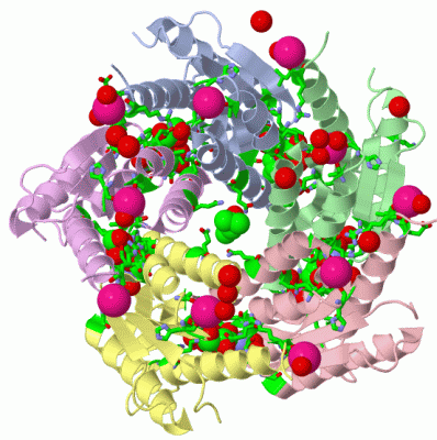 Image Biol.Unit 1 - manually