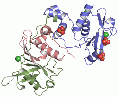 Image Asym./Biol. Unit - manually