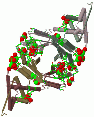 Image Biol.Unit 1 - manually