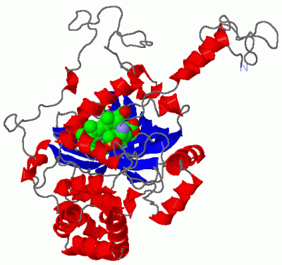 Image Asym.Unit - manually