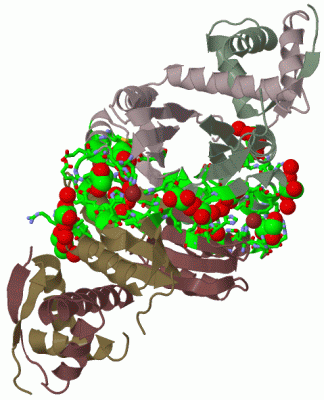 Image Biol.Unit 1 - manually