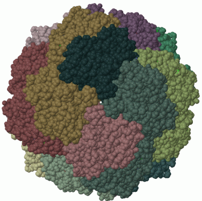 Image Biol.Unit 1 - manually