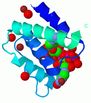 Image Biol.Unit 1 - manually