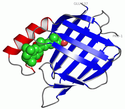 Image Asym./Biol. Unit - manually