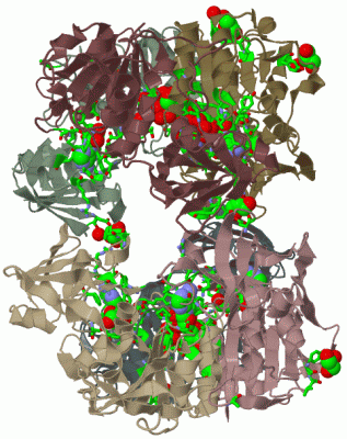 Image Biol.Unit 1 - manually