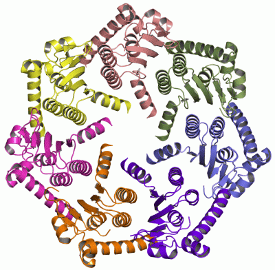 Image Asym./Biol. Unit - manually