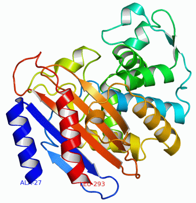 Image Asym./Biol. Unit - manually