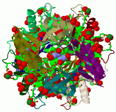 Image Biol.Unit 1 - manually