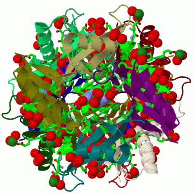 Image Biol.Unit 1 - manually