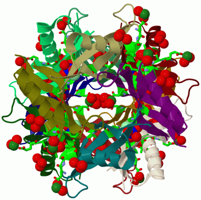 Image Biol.Unit 1 - manually