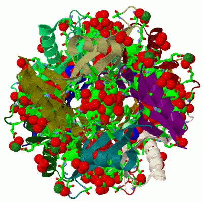 Image Biol.Unit 1 - manually