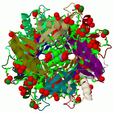 Image Biol.Unit 1 - manually