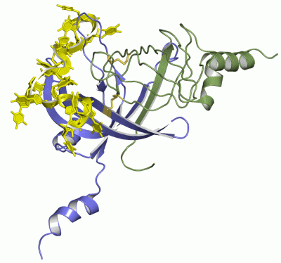 Image Asym./Biol. Unit - manually