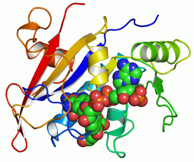 Image Asym./Biol. Unit - manually