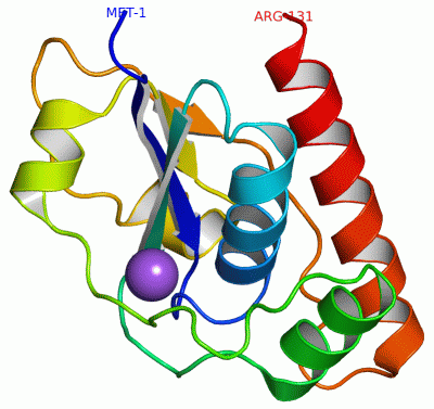 Image Asym./Biol. Unit - manually