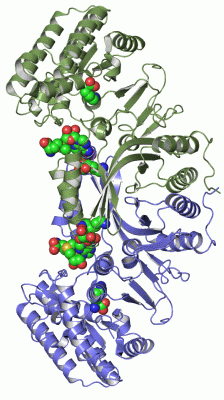 Image Asym./Biol. Unit - manually