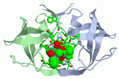 Image Asym./Biol. Unit - manually