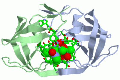 Image Asym./Biol. Unit - manually