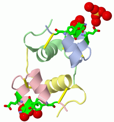 Image Asym./Biol. Unit - manually