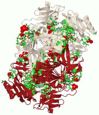 Image Biol.Unit 1 - manually