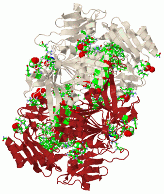 Image Biol.Unit 1 - manually