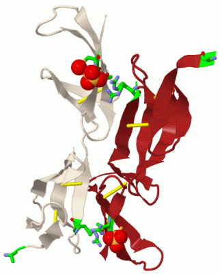 Image Biol.Unit 1 - manually