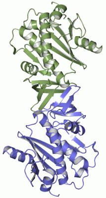 Image Asym.Unit - manually