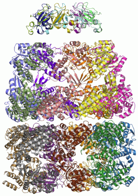 Image Asym./Biol. Unit - manually