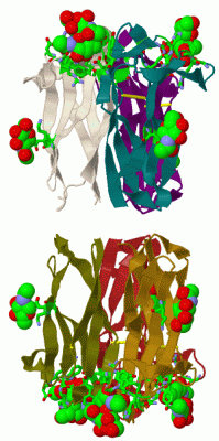 Image Biol.Unit 1 - manually