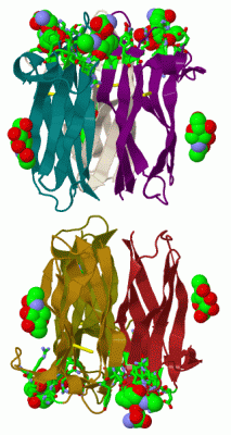 Image Biol.Unit 1 - manually