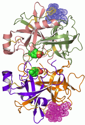 Image Asym./Biol. Unit - manually