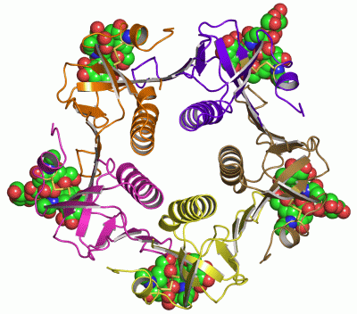 Image Asym./Biol. Unit - manually