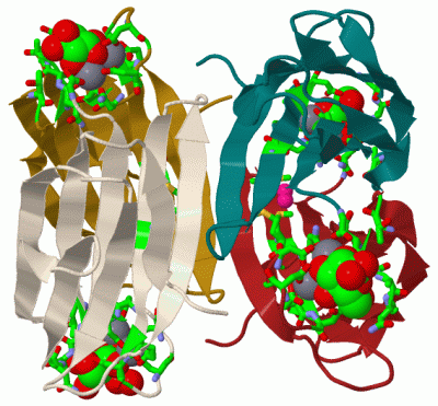 Image Biol.Unit 1 - manually