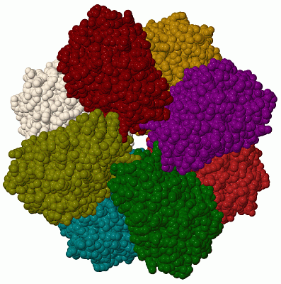 Image Biol.Unit 1 - manually