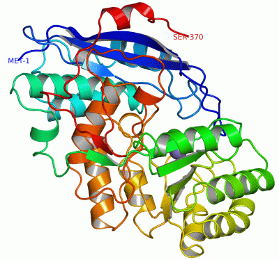 Image Asym.Unit - manually