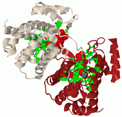 Image Biol.Unit 1 - manually