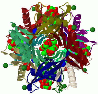 Image Biol.Unit 1 - manually