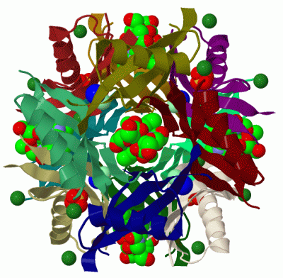 Image Biol.Unit 1 - manually