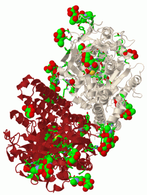 Image Biol.Unit 1 - manually