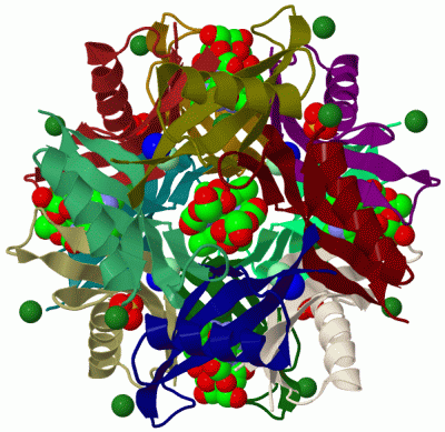 Image Biol.Unit 1 - manually